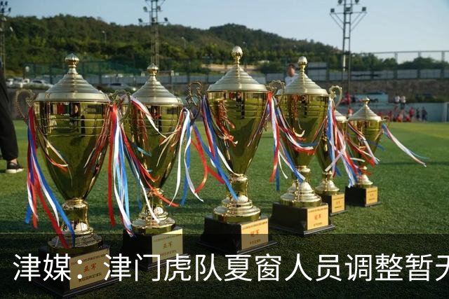津媒：津门虎队夏窗人员调整暂无定论，石炎拉伤不能参与合练